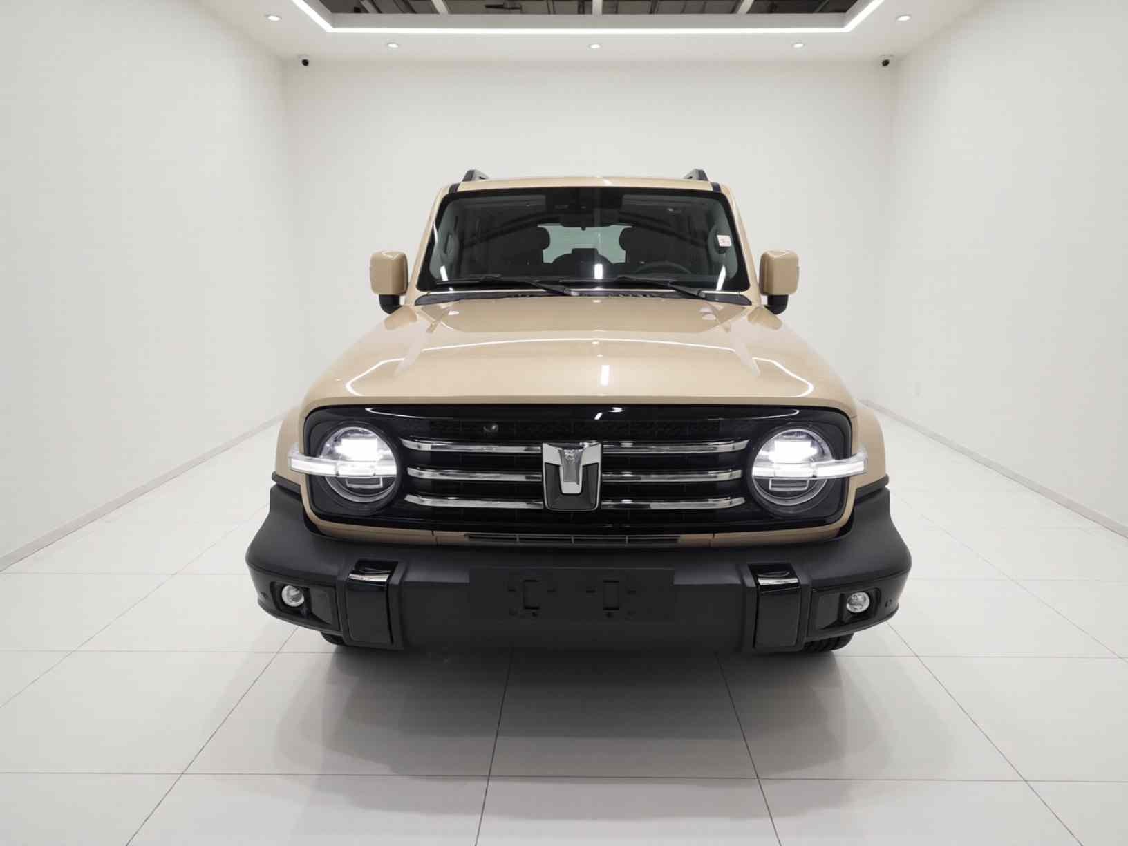 坦克300新能源 2024款 Hi4-T(1)