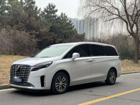 别克GL8 2022款 ES陆尊 653T 尊享型