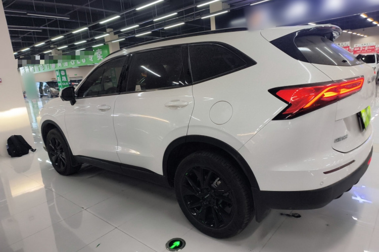 哈弗H6 2024款 1.5T 两驱Max车身外观4
