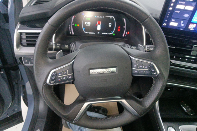 哈弗H6 2021款 国潮版 1.5GDIT 自动豪华版中控内饰13