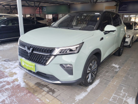 五菱汽车 五菱星辰 2022款 2.0L DHT电速款