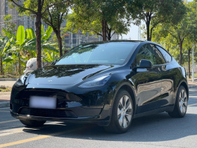 特斯拉 Model Y 2022款 后轮驱动版