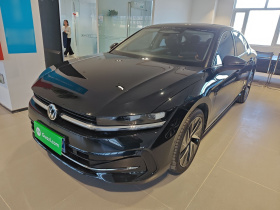 大众 迈腾 2024款 380TSI DSG至尊版