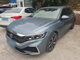 大众 帕萨特 2022款 330TSI 星空尊贵版