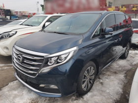 广汽传祺 传祺M8 2018款 320T 旗舰版