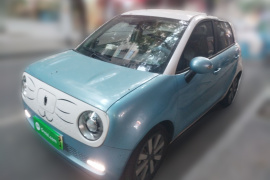 欧拉黑猫 2019款 351km 女神版