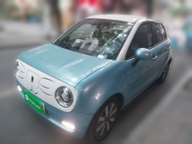 欧拉黑猫 2019款 351km 女神版