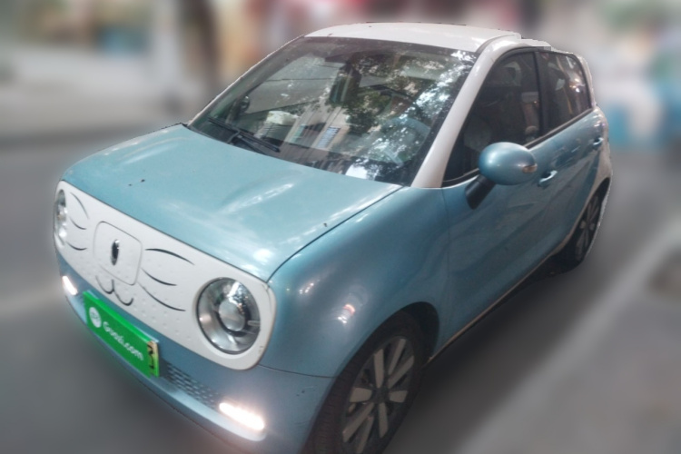 欧拉黑猫 2019款 351km 女神版车身外观1