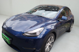 特斯拉 Model Y 2021款 标准续航后驱版