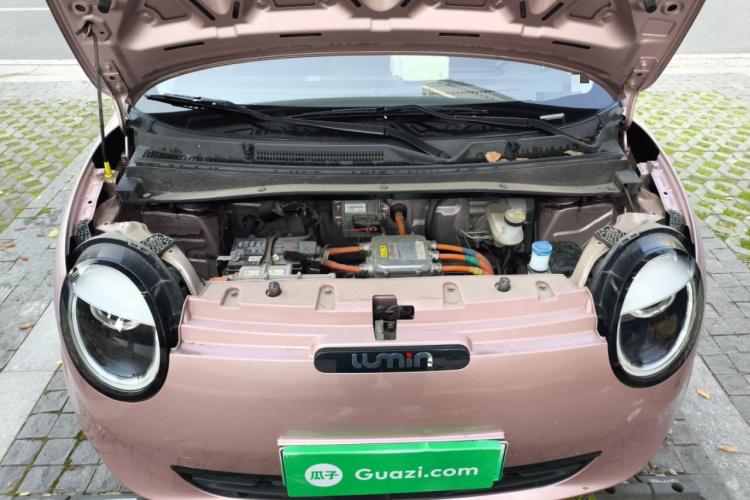 长安启源 长安Lumin 2022款 210km 香甜款局部细节24