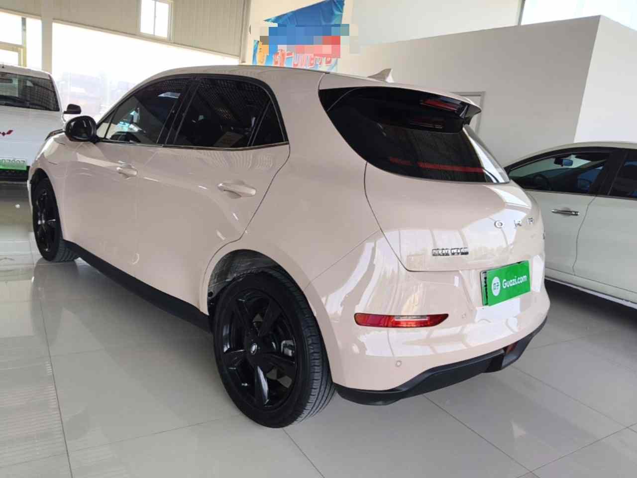 欧拉好猫 2024款 401km 豪华型(3)