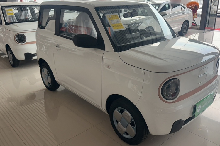 吉利银河 2024款 熊猫mini 200km 耐力熊车身外观6002