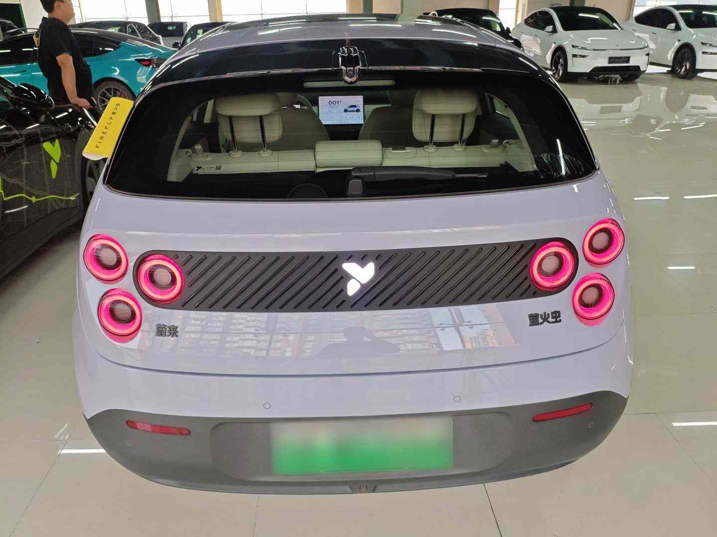 firefly萤火虫 2025款 发光版(3)