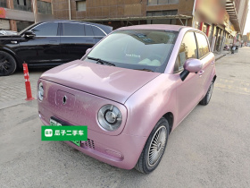 欧拉黑猫 2019款 301km 标准版