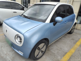 欧拉黑猫 2021款 301km 基础型