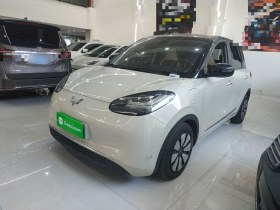 五菱汽车 五菱缤果 2023款 333km 灵犀互联+款