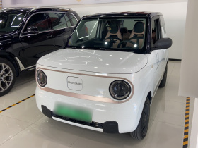 吉利银河 2023款 熊猫mini 200km 耐力熊