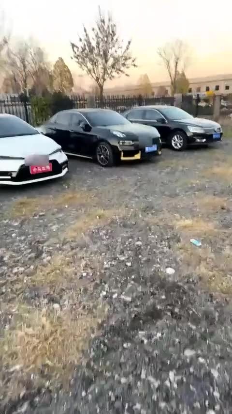 领克03 2019款 1.5TD DCT劲Pro版 国VI讲解1