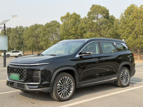 捷途山海L9 2024款 1.5TD 2DHT Pro 7座