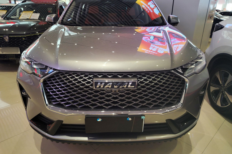 哈弗H6 2024款 1.5T 两驱经典版车身外观6001