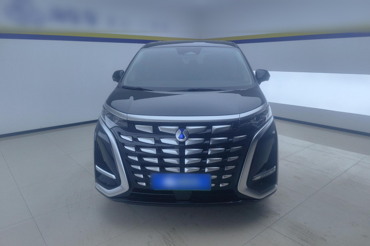 腾势D9 2024款 DM-i 1050 尊享型车身外观2