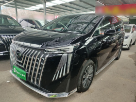 广汽传祺 传祺M8 2024款 大师系列 400T 尊贵版