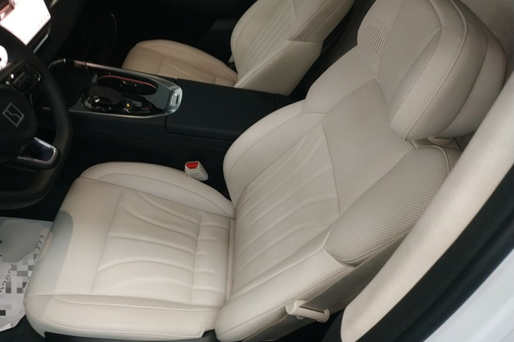 极氪009 2024款 光辉局部细节19