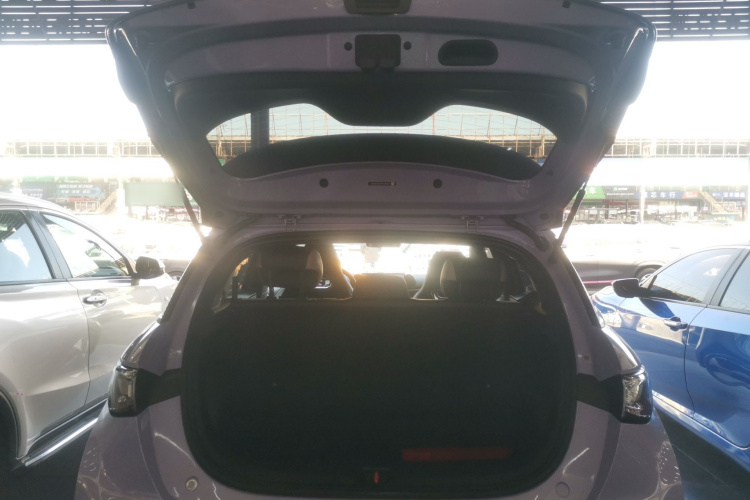 比亚迪 海豚 2023款 420km 自由版机舱底盘23