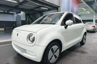 欧拉黑猫 2021款 301km 基础型