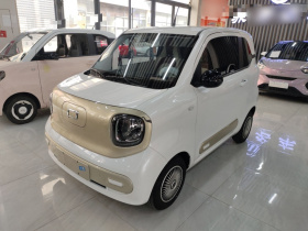 奔腾小马 2026款 222km 炫彩马