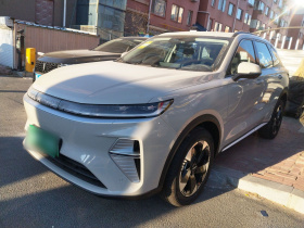 哈弗枭龙MAX 2025款 Hi4 110 Pro