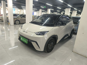 比亚迪 海鸥 2023款 活力版