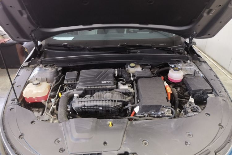 比亚迪 驱逐舰05 2023款 冠军版 DM-i 120KM 尊贵型机舱底盘24