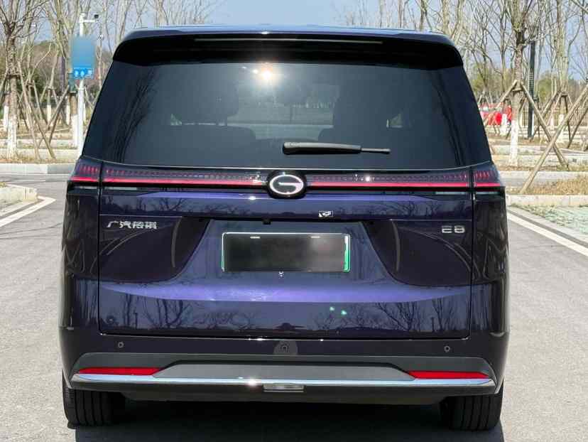 广汽传祺 传祺E8新能源 2024款 150km MAX(2)