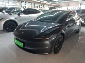 特斯拉 Model 3 2023款 后轮驱动版