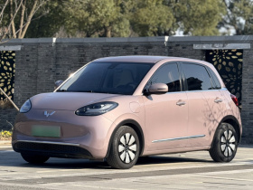 五菱汽车 五菱缤果 2023款 333km 悦享款