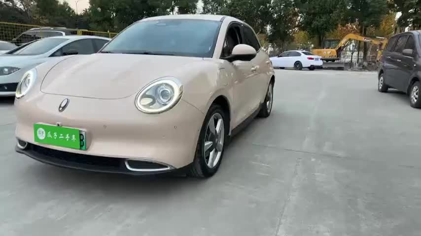 欧拉好猫 2021款 400km标准续航 雅典娜版 磷酸铁锂实拍1