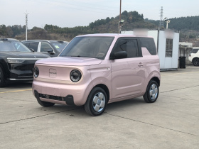 吉利银河 2023款 熊猫mini 200km 耐力熊