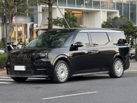 极氪009 2024款 光辉