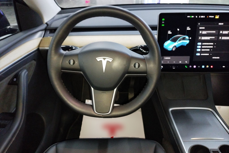 特斯拉 Model Y 2021款 标准续航后驱版局部细节13