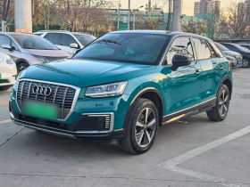 奥迪Q2L e-tron 2019款 Q2L e-tron 纯电智酷型