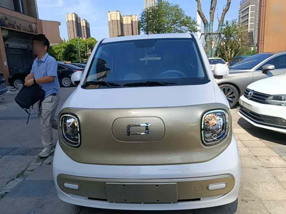 奔腾小马 2024款 170km 活力马(1)