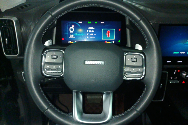 哈弗大狗 2021款 1.5T DCT两驱边牧-旺财版中控内饰13
