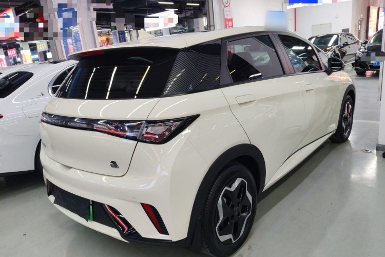 比亚迪 海豚 2021款 405km 时尚版车身外观7