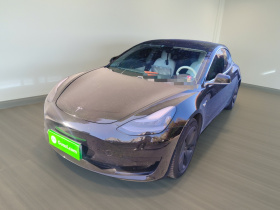 特斯拉 Model 3 2020款 标准续航后驱升级版