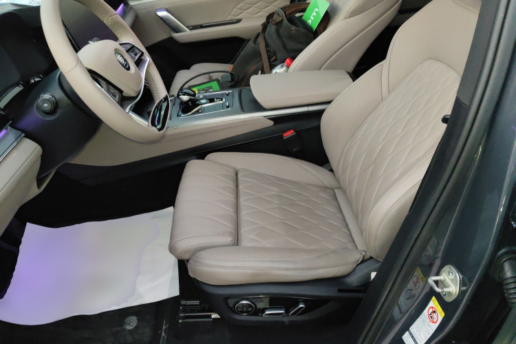 比亚迪 唐新能源 2024款 EV 冠军版 600KM 尊享型局部细节19