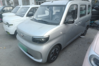 五菱汽车 五菱之光新能源 2025款 305km 进取型