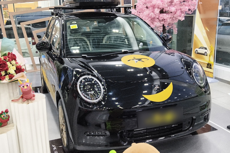 江淮钇为 钇为3 2025款 330km 黑凤梨版车身外观6002