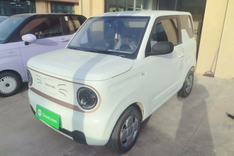 吉利银河 2024款 熊猫mini 200km 龙腾PRO版