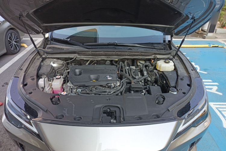 雷克萨斯RX 2023款 350h 两驱悦享版局部细节24